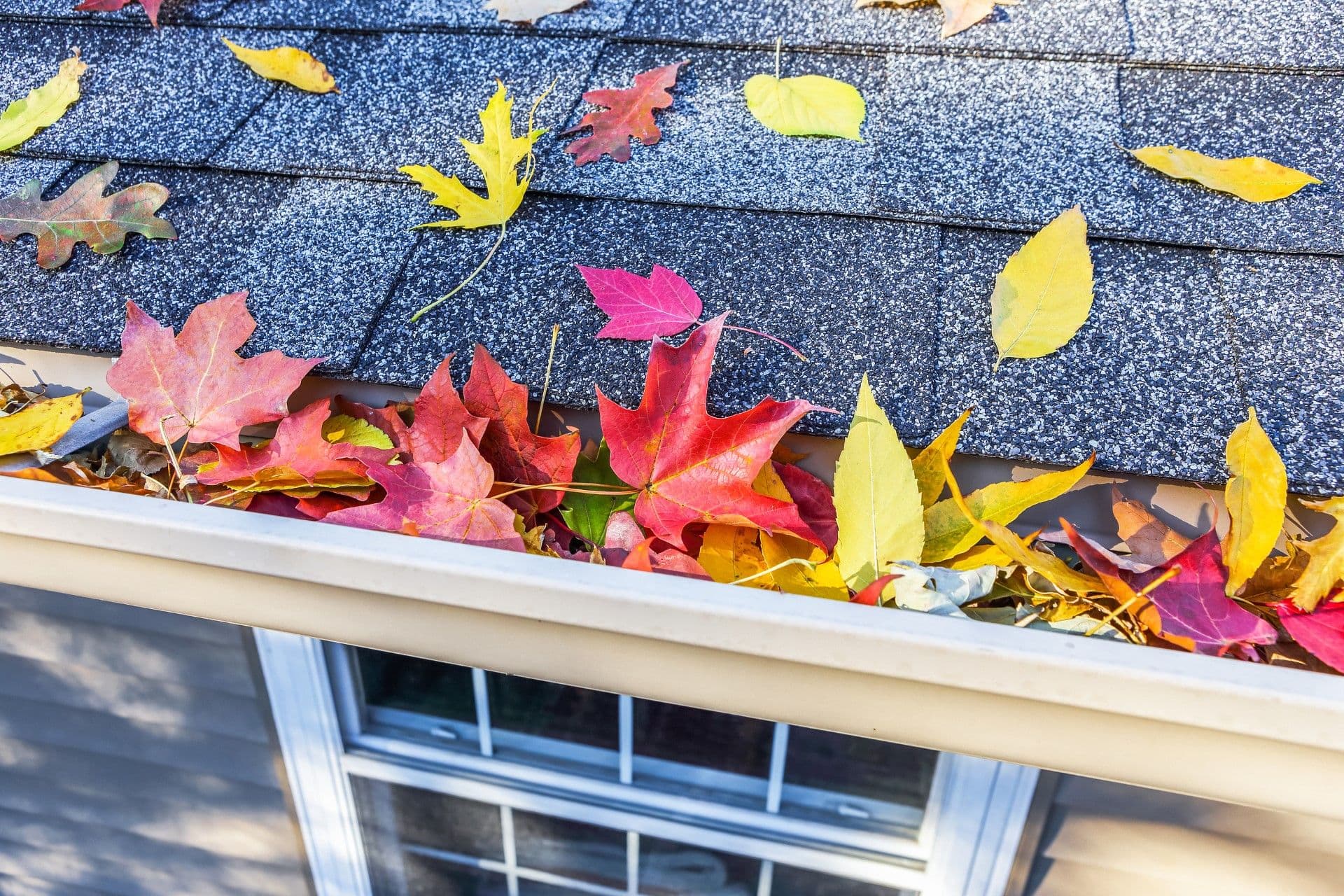 Gutters