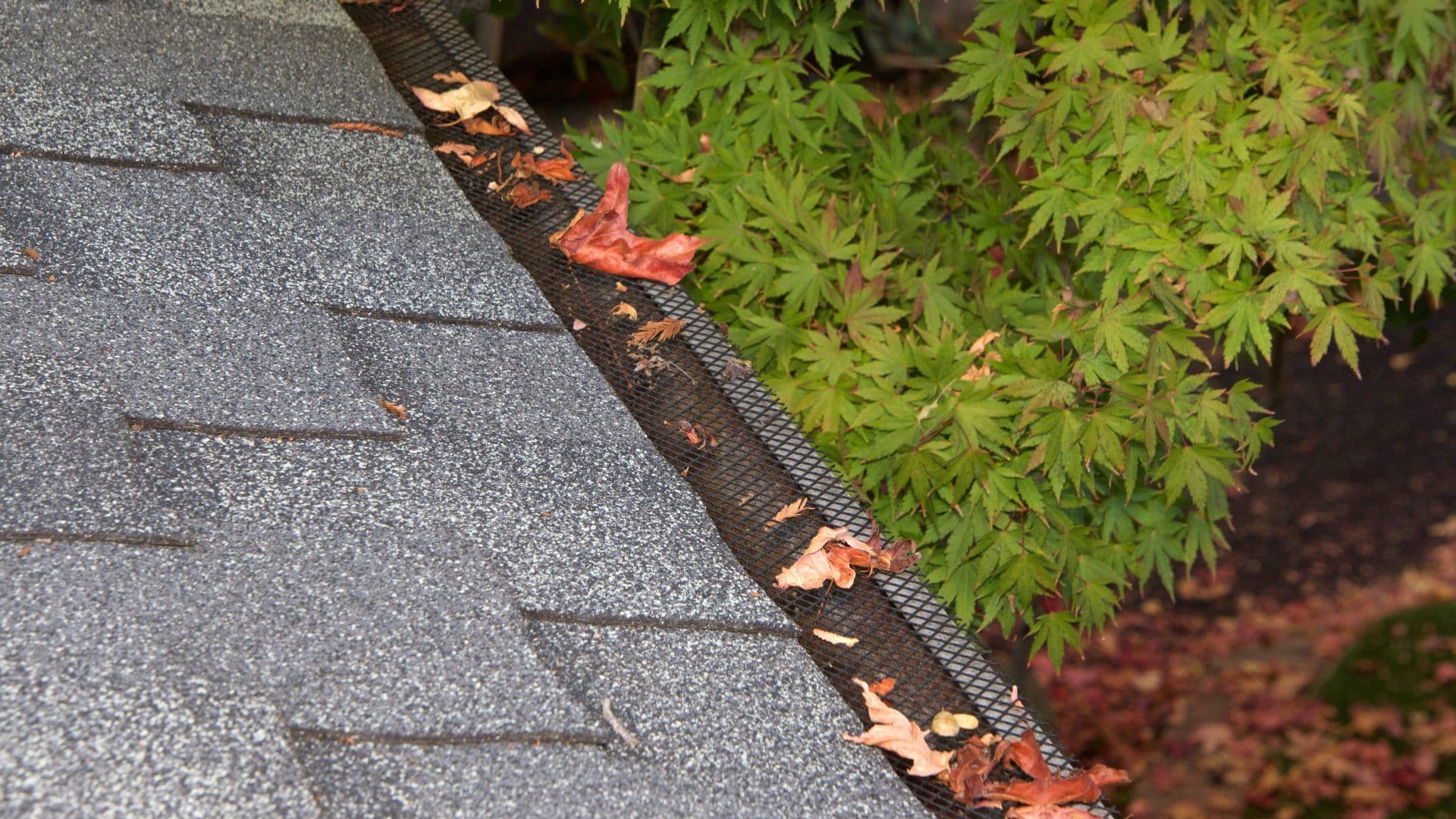great-exterior-remodeler-fort-city-in-clemens-home-solutions-scaled.jpeg