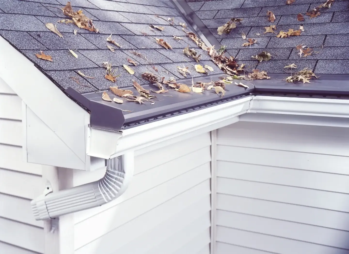 gutter-protection-services-richmond-in.webp