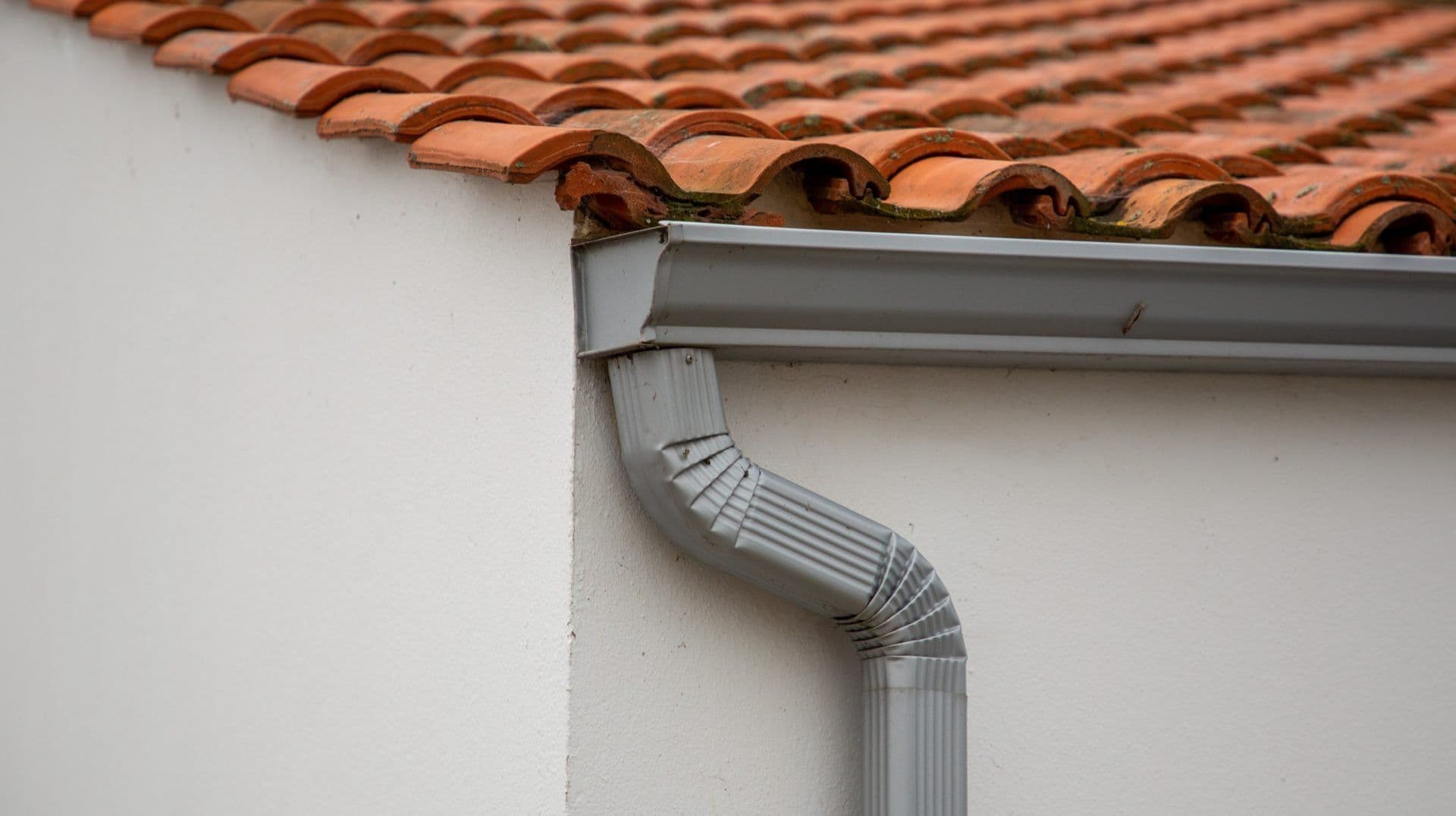 Gutter-Seamless-Clemens-Lapel-IN-Subpage-scaled.jpeg