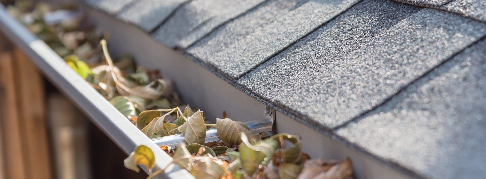 industry-leading-gutter-guards-munice-in-clemens-home-solutions-scaled (1).jpeg