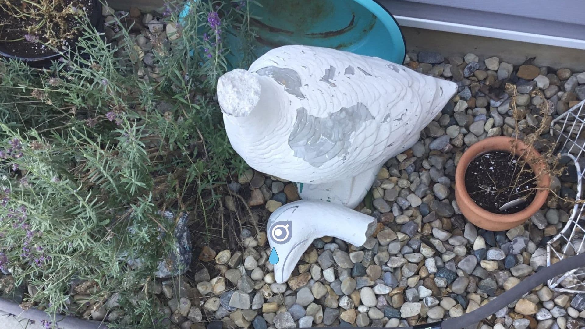 roof-repair-contractor-mistakes-heirloom-goose-indianapolis-clemens-broken-graphic