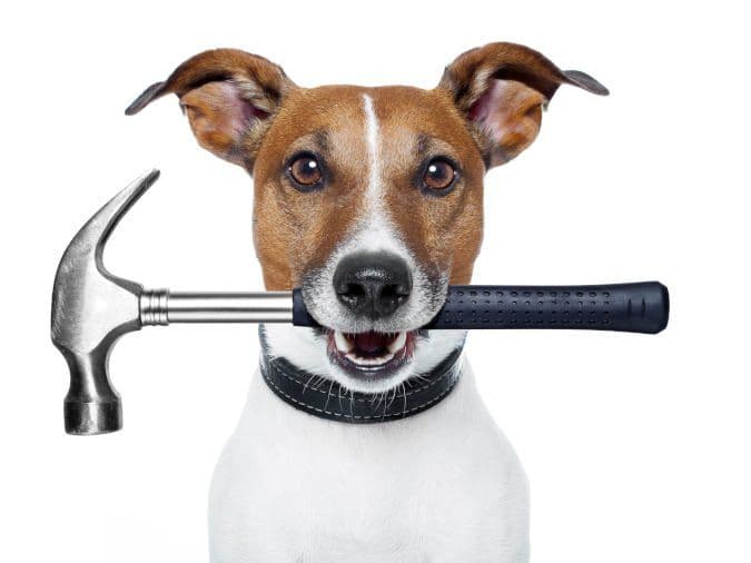 tool-thief-puppy-new-siding-replacement-windows-muncie-clemens-home-solutions