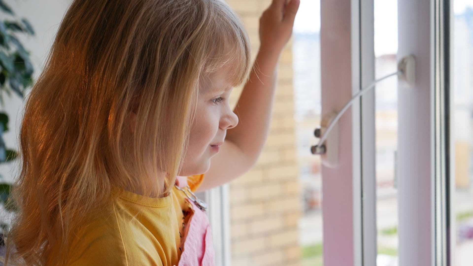 Window-Security-Clemens-Hagerstown-Product-Blog-scaled